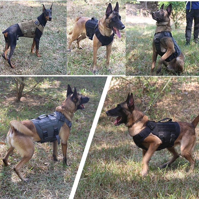 K9-Tactical-Military-Vest-Pet-German-Shepherd-Golden-Retriever-Tactical-Training-Dog-Harness-and-Leash-Set-3