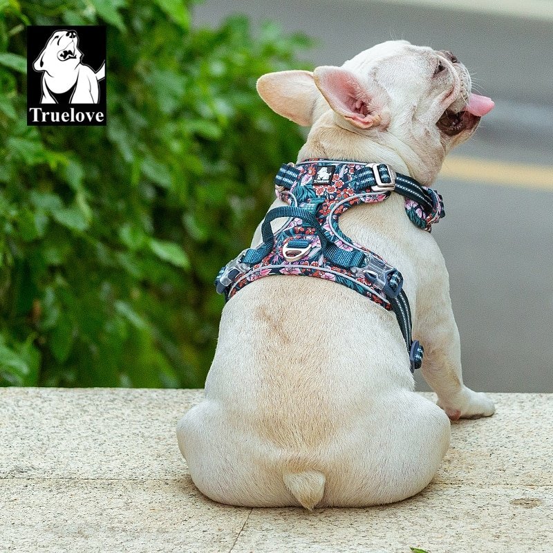 Truelove-Pet-Harness-Small-Medium-Large-Split-Dog-Fashion-Outdoor-Dropshipping-4