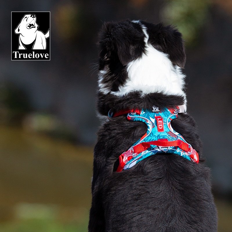 Truelove-Pet-Harness-Small-Medium-Large-Split-Dog-Fashion-Outdoor-Dropshipping-5