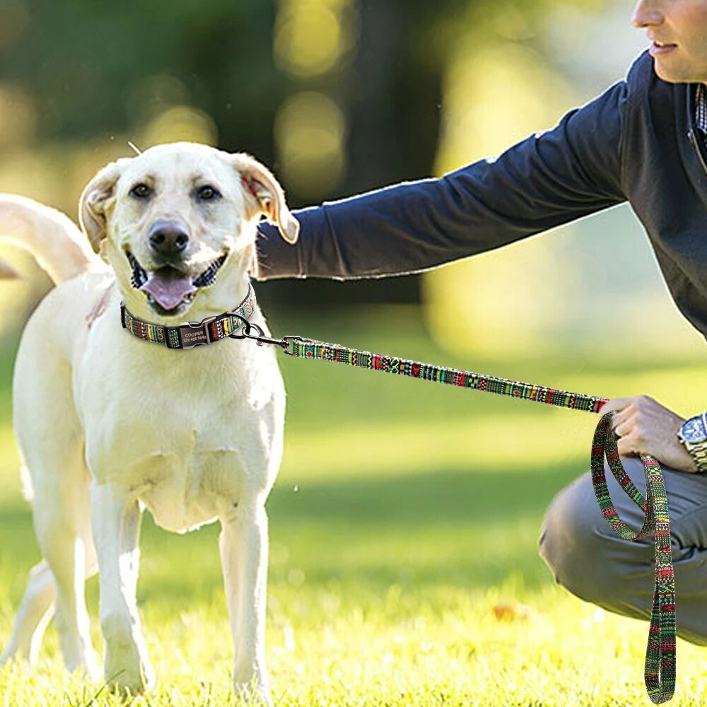 5-Colors-Dog-Leash-Rope-Nylon-Printed-Puppy-Dog-Walking-Running-Training-Leashes-Lead-For-Small-3