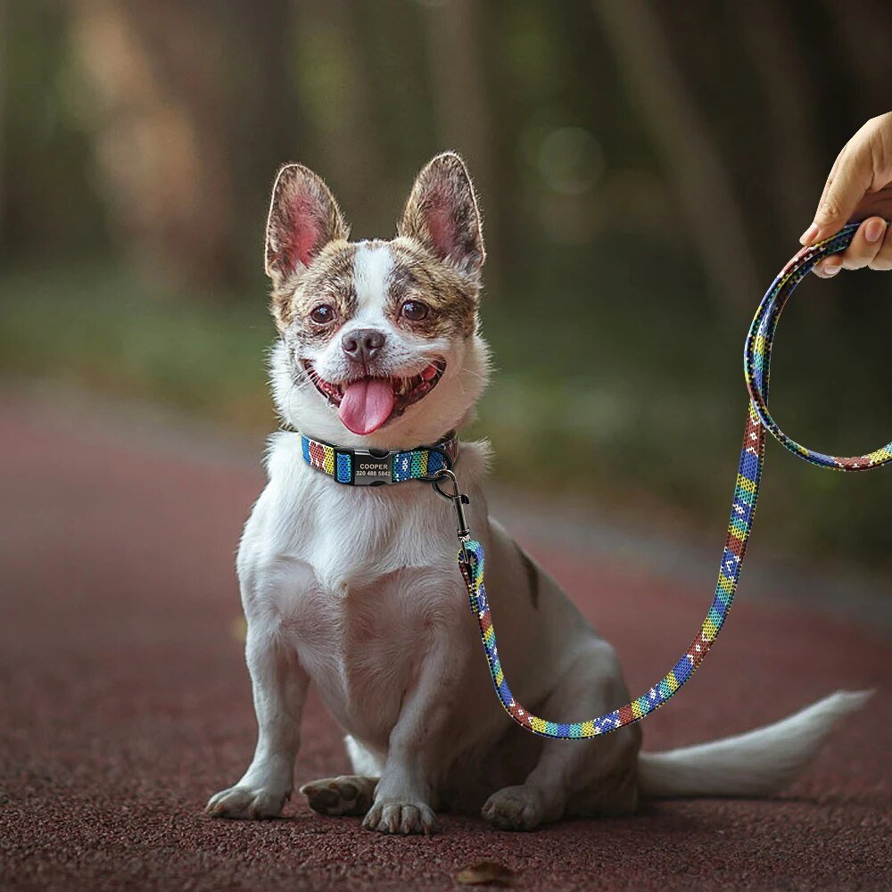 5-Colors-Dog-Leash-Rope-Nylon-Printed-Puppy-Dog-Walking-Running-Training-Leashes-Lead-For-Small-4