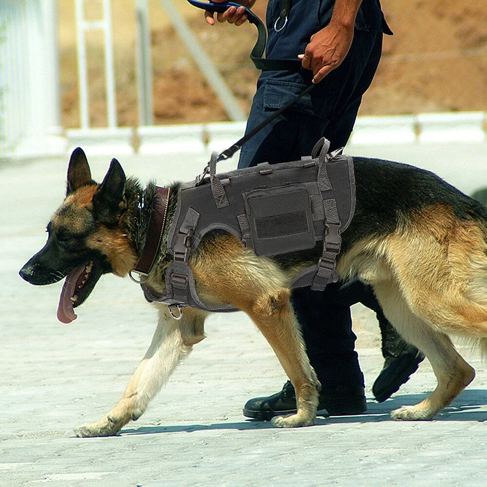 Dog-Tactical-Harness-Molle-Vest-Adjustable-Military-Pet-Training-Harness-For-Medium-Large-Dogs-With-2-4
