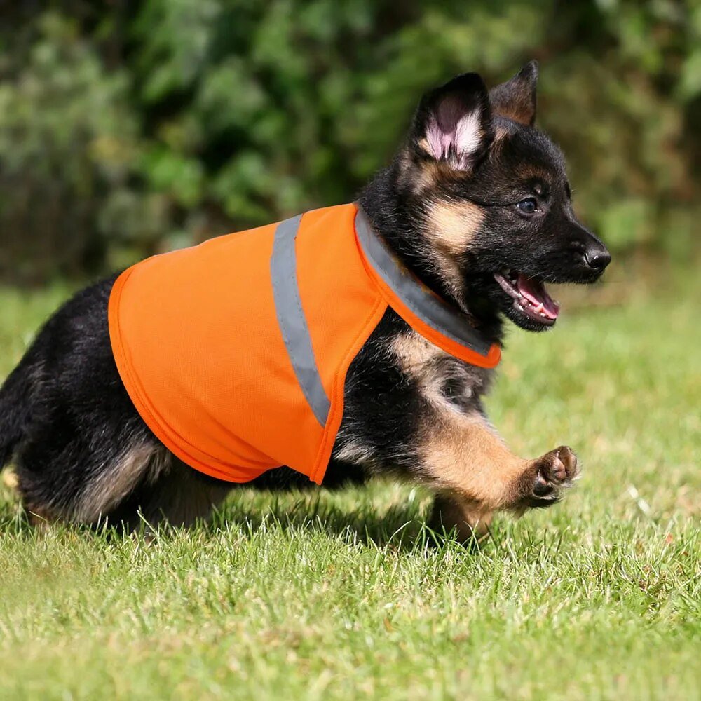Reflective-Dog-Vest-Clothes-Breathable-Pet-Puppy-Dog-Safety-Outdoor-Walking-Running-Vests-For-Small-Medium-3