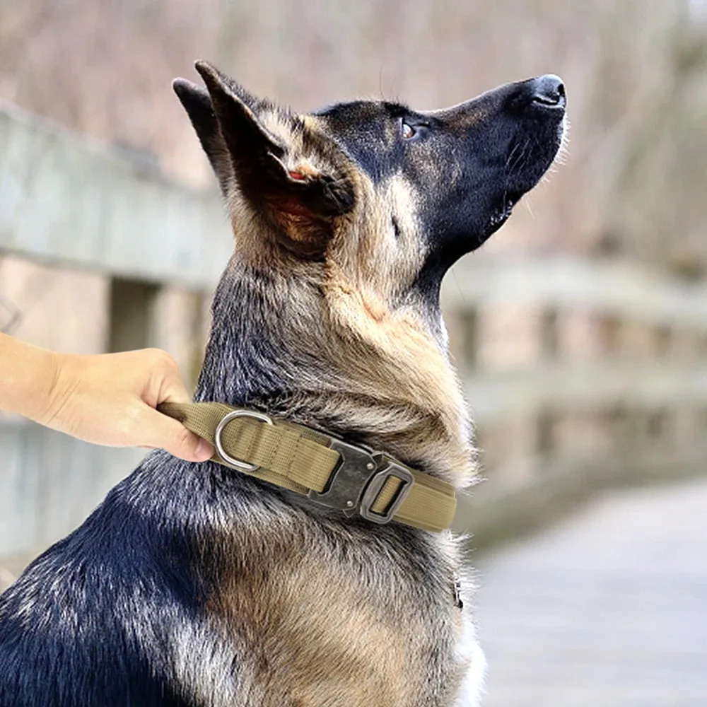 Durable-Military-Tactical-Dog-Collar-Adjustable-Pet-Nylon-Training-Rottweiler-Dog-Collar-For-Medium-Large-Dogs-2